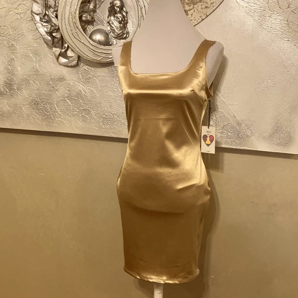Iris Silky Dress